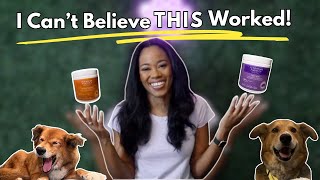 Is This the Best Kept Secret for Happy Dogs?