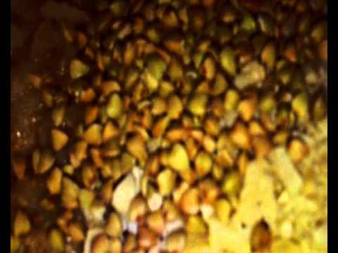 Maximale Höhe des Blutzuckers Normale Blutzuckerwerte vor den Mahlzeiten und nach