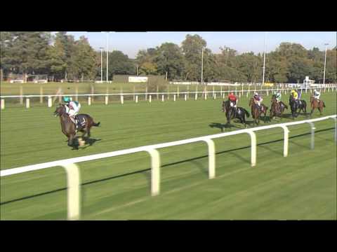 Queen Elizabeth II Stakes sponsored by QIPCO, Ascot, 2011