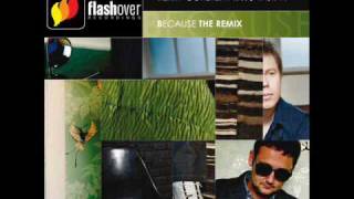 Ferry Corsten featuring Novastar - Because The Remix (Radio Edit)