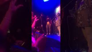 Lion Paw - TARRUS RILEY 2020