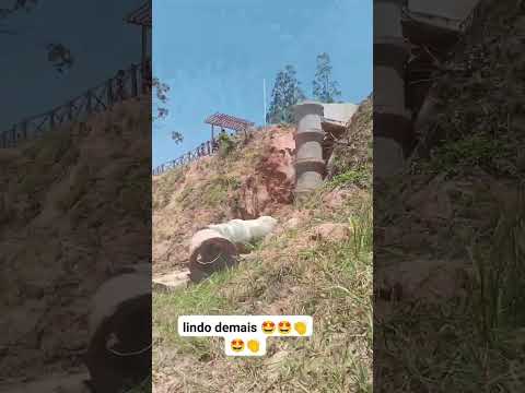 Cristo Redentor em flexeiras alagoas