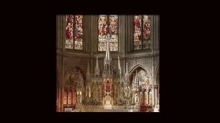 army of lovers - crucified (vocals; cathedral version)
