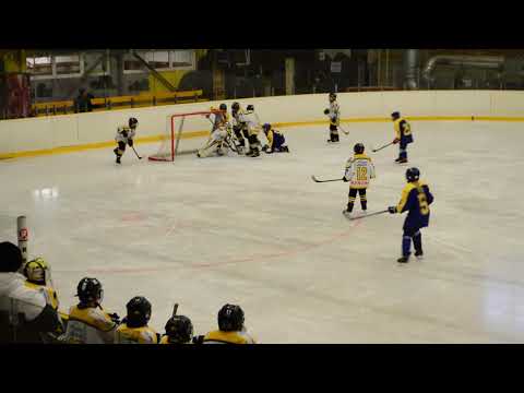 20. 1. 2019 Mistr. utkání Litvínov - Slovan Ústí n/L (30)