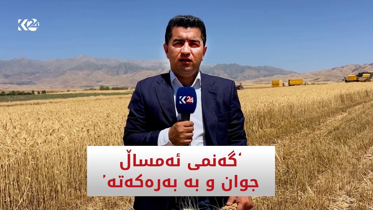 ڤیدیۆ | "گەنمی ئەمساڵ جوان و بەبەرەکەتە"