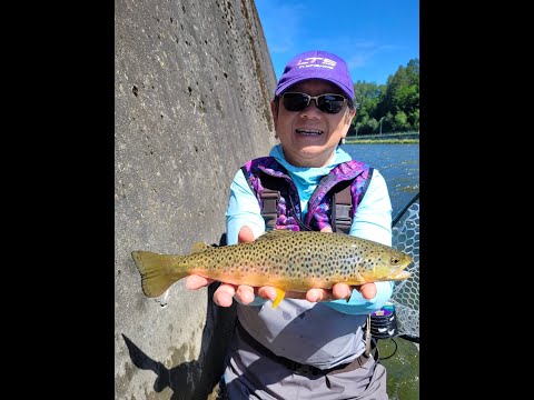 Fly Fishing the Dunajec River, Poland Day 2, 3 - June 18-19, 2024