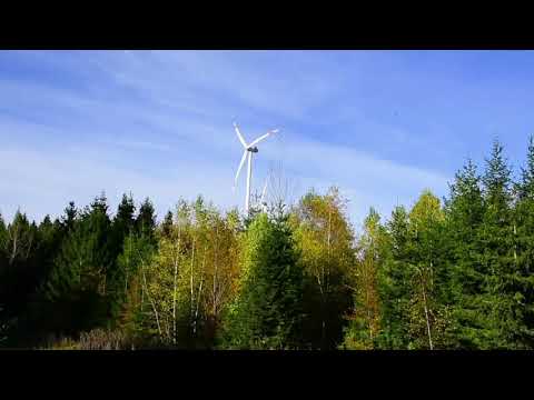 Kranichewindrad2klein Kopie