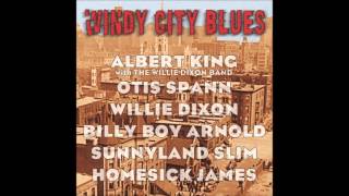 Albert King With The Willie Dixon Band - Love Me To Death