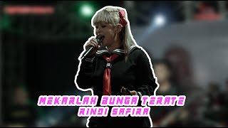 Download lagu MEKARLAH BUNGA TERATE - Rindi Safira - Republik Metro Live Kandangan Ngawi mp3