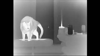 See Through & Fun Thermal Camera Experiments