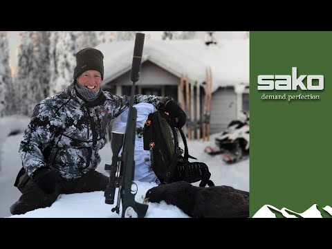 Majestic capercaillie hunt on skis at -30°C