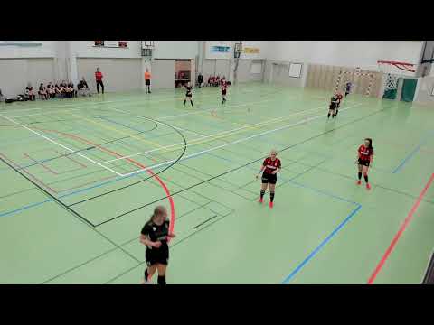 PiPS 2 - Lieto Futsal Naiset 3 Div