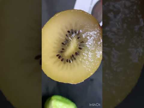 Seeds, water, new plants