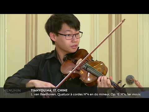 Menuhin Competition 2018, Senior semi-finals