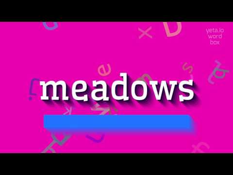 MEADOWS - HOW TO PRONOUNCE MEADOWS?
