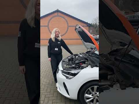 Tell Me Questions | Part 14 🚘 ✅