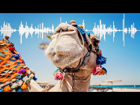 Best Of Downtempo Mix #03 (Oriental | Melodic | Summer | Chillout) - "Riding East"