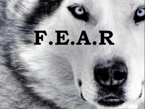 Delyno ft. Park Place - I have the world .wmv