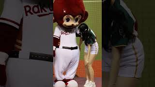 岳東華應援　朴旻曙mingo #台湾チア #cheerleader #明星賽  2024　#wingstars