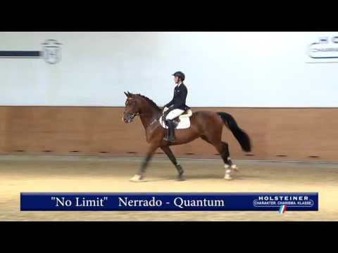 139. No Limit v. Nerrado - Quantum