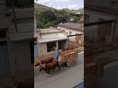 carro de boi em Teixeiras minas gerais