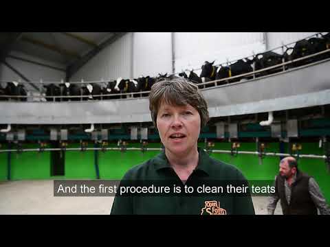 Rotary milking parlour at Wildon Grange Farm. 4th June 2019