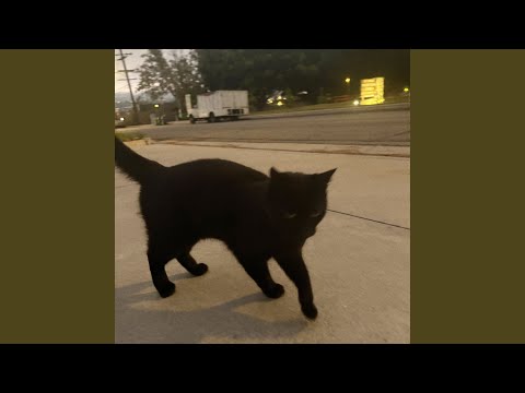 Never Getting Tired Of You