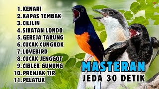 Download lagu 🔴 MASTERAN MURAI BATU GACOR JEDA 30 DETIK BISA UNTUK CENDET, KACER, IJO || 957 mp3