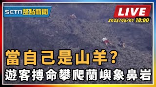 當自己是山羊?遊客搏命攀爬蘭嶼象鼻岩