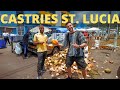 ST LUCIA FIRST IMPRESSIONS Castries City Walking Tour Vlog
