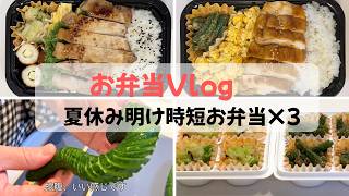 作り置き3種と2種の肉弁当で時短｜夏休み明け2日分×3人分【お弁当vlog】#8