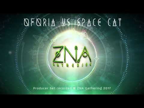 Oforia vs Space Cat Producer Set at ZNA Gathering 2017