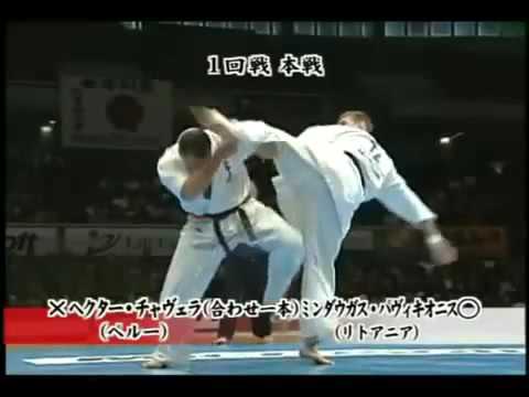 Shinkyokushin 9th World Open Championship 2007 Knockouts