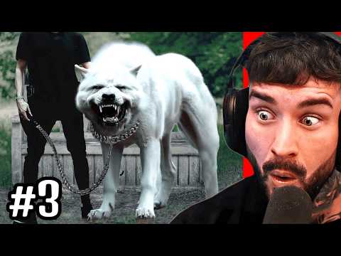 NEJNEBEZPEČNĚJŠÍ PES NA SVĚTĚ!