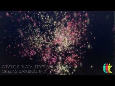 Apashe & Black Tiger Sex Machine - Origins