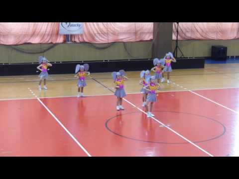 Slovak Championship, Malacky 2016 - Prešov, FLOWERS
