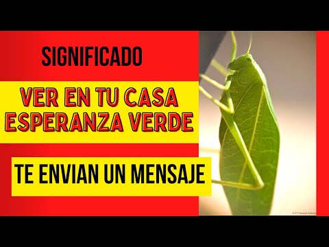 SPIRITUAL MEANING OF seeing hope in your home #spiritualmeaning #ConexionMay