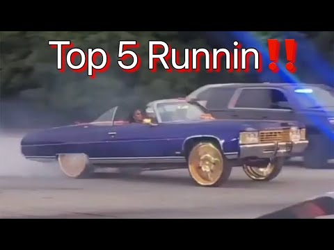 Top 5 leave Rick Ross Car Show 2022 Nava Hard