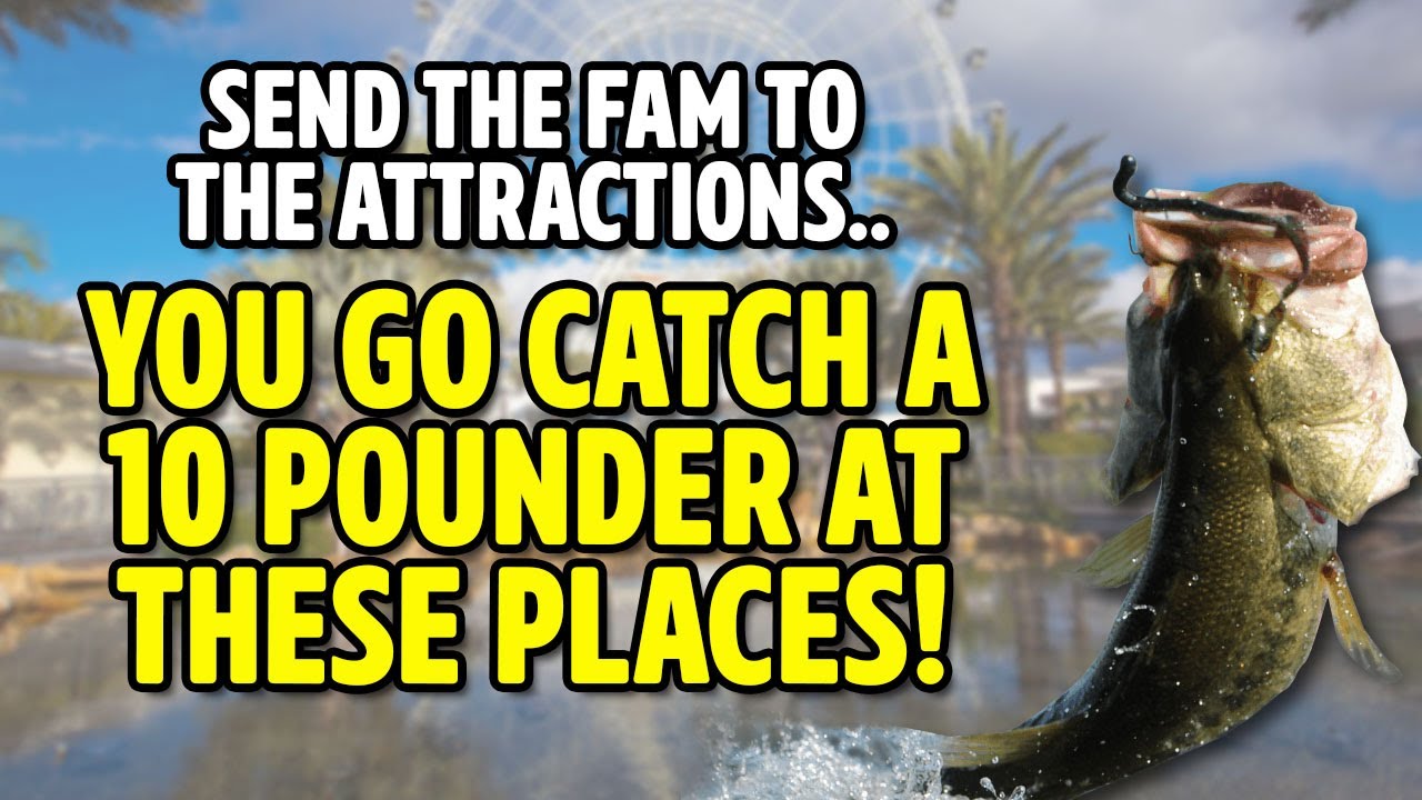 Orlando Attractions or Go Bass Fishing for a TEN POUND PLUS BASS