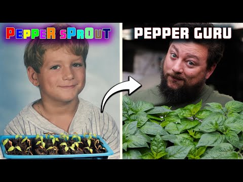 30 Years Of Pepper Seedling Mistakes To Avoid