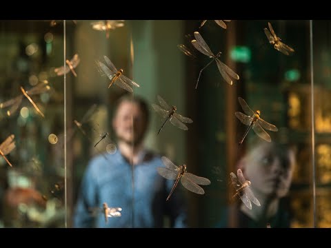 Museu Universitário de Bergen, Vencedor do Prémio Museu de Portimão 2022