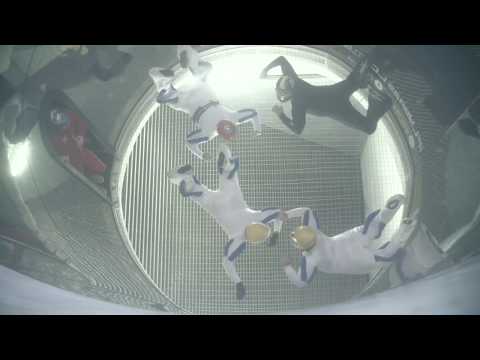 Harpia 4 way - Dia 120617 - F 19