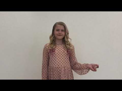 B category Vaidilė Giedraitė ,,Bye Bye Blackbird“