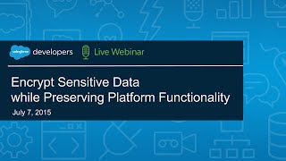 Encrypt Sensitive Data while Preserving Platform Functionality