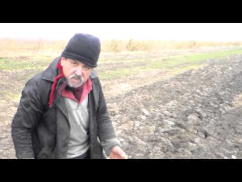 Aratura de toamna realizata  in satul Baba-Ana judetul Prahova Partea unu