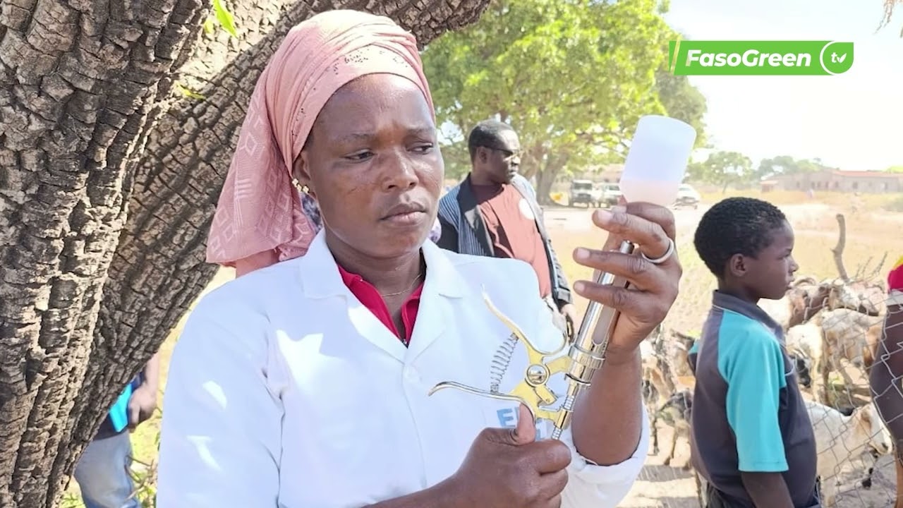 Tour d'horizon du 3 Novembre 2025