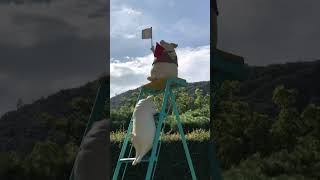 2023.09.18 栗林公園・キリン広場