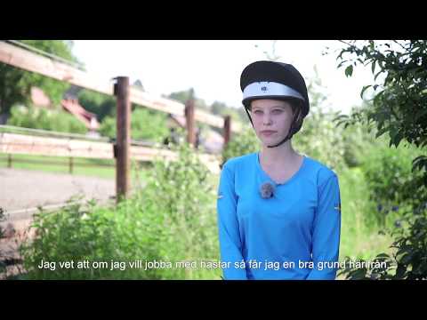 Utbildningen Häst på Realgymnasiet | Undertexter