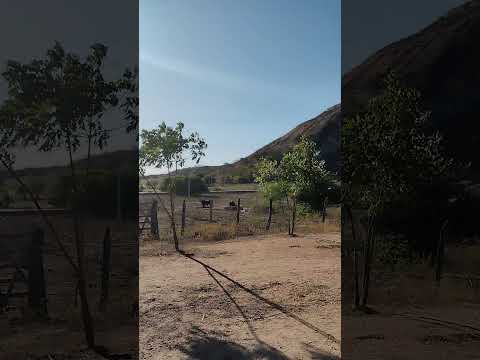 natureza no nordeste, cidade bom sucesso paraíba