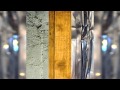 Nok from the Future - Worph EP 